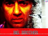 Big Brother (2007)